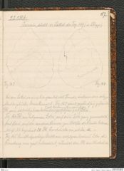Seite 91, Tagebuch "Palästina (Tagebuch)" (NHMW-PRAE-BBB-80)
